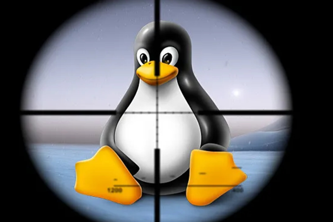 Two Linux Flaws May Expose Sensitive Information